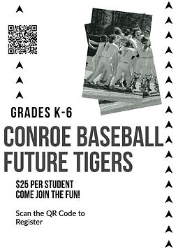 Future Tigers Flyer.jpg